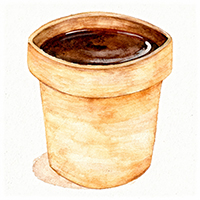 Disposable Cups